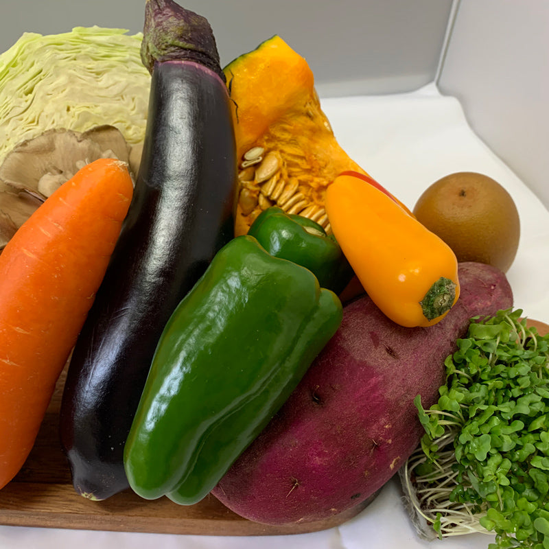 わんちゃんのためのオーダーメイド手作りごはんレシピ