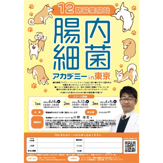 東京12期