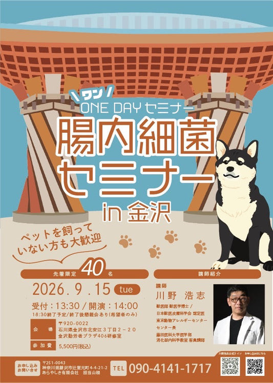 9/15金沢