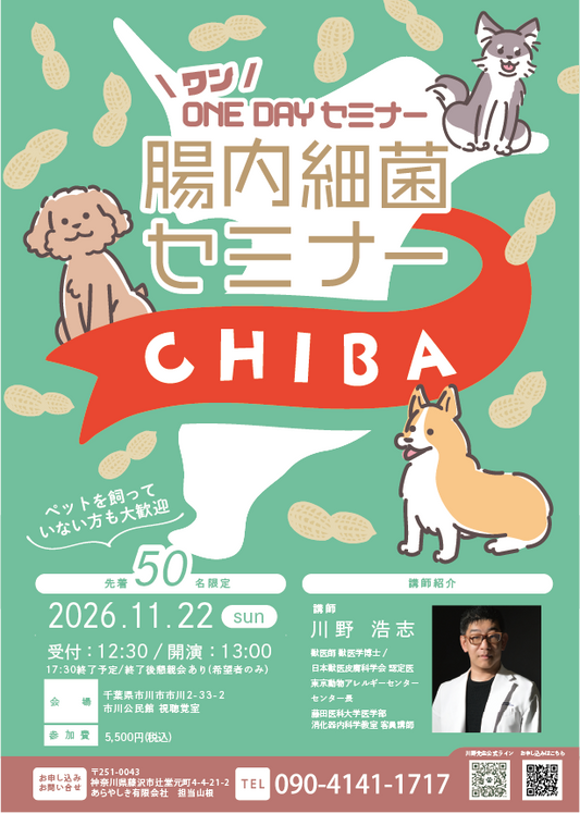 11/22千葉