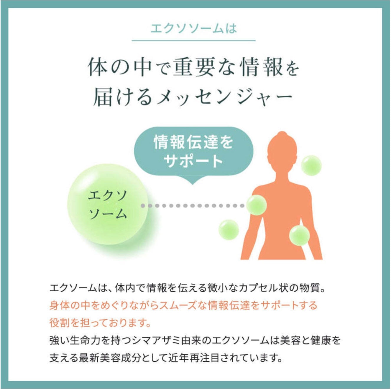 SEIOU92 プレミアムゼリー